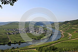 Moselle Valley photo