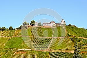 Moselle Valley Germany: View to Marienburg Castle near village Puenderich