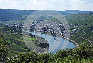 Moselle valley at KrÃ¶v