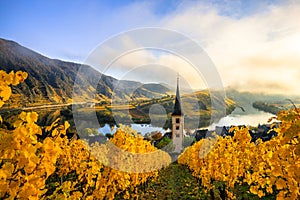 The Moselle loop in the morning, sunrise in the vineyards, taken from the summit with a view of the valley, Germany, wine photo