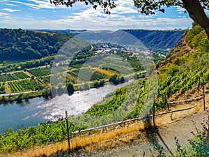 Moselle valley near Koblenz