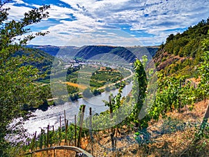 Moselle valley near Koblenz