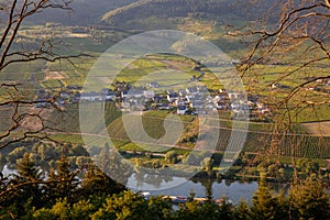 Moselle and Vineyards Landscape and the small village Kinheimer