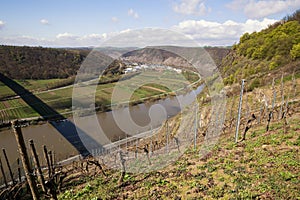 moseltal germany in spring