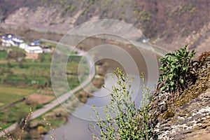 moseltal germany in spring