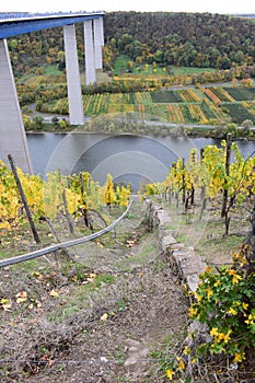 MoseltalbrÃ¼cke and a vineyards monorail line