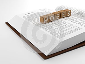 Moses and the Bible