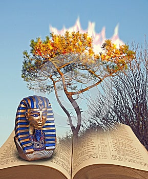 Moses at burning bush free israel from egypt