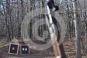 Mosin Nagant Gun Rifle with Targets in Focus in the Background