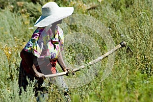Mosotho Lady at work