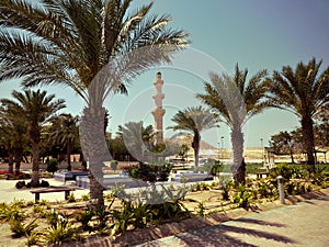 Mosq in Dukhan Qatar