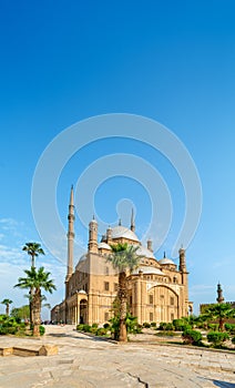The Mosque Ali Pasha in Cairo