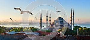 Mosque and Bosphorus in Istanbul photo