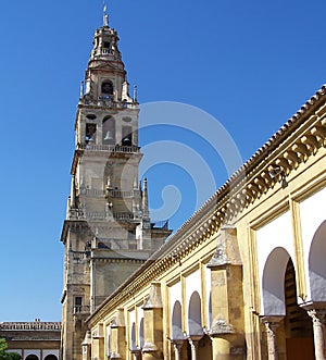 Mosque of Cordoba 3