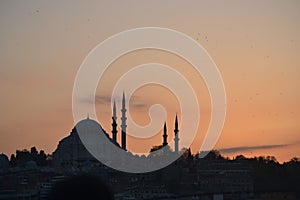 Mosque at dusk in istanbul