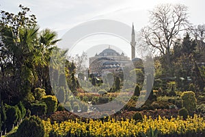 A mosque and a garden in Istanbul, Turkey