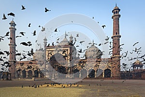 The mosque Jama Masjid in Delhi