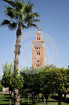 Mosque in Marrakesh #3