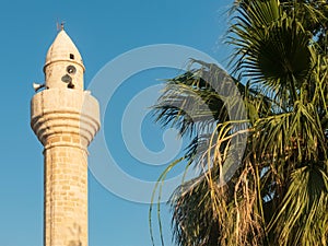 Mosque minaret opposite evening blue sky and palm tree