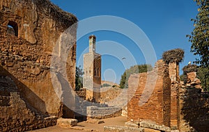 Mosque and minaret ruined of Chellah necropolis. Rabat. Morocco.