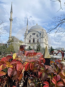 Mosque near Dolmabahce Palast in Istanbul pictured on a colorful autumn day photo