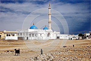 Mosque in Oman photo