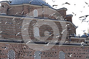 A mosque surrounded by flying pigeons