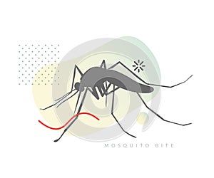 Mosquito biting on Human Skin - Stock Illustration