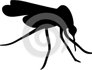 Mosquito Black and White Illustration