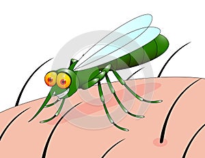 Mosquito cartoon