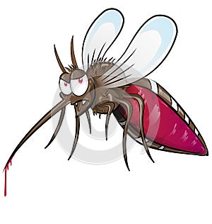 Mosquito cartoon