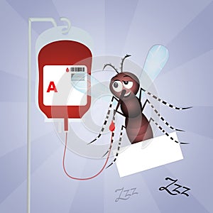 Mosquito donate blood