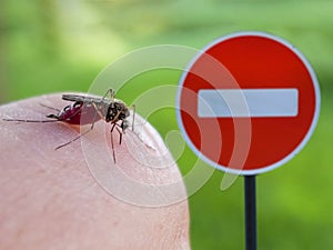 Mosquito drink blood from human finger on the background of the sign entry is prohibited.