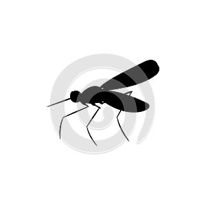 Mosquito insect black silhouette animal