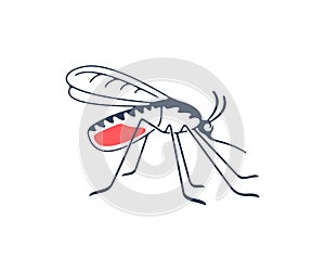 Mosquito, insects, animals, nature and medicine, graphic design. Gnat, insect bloodsucking, pest infectious parasitic spreading, m photo