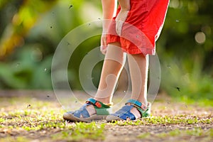 Mosquito on kids skin. Insect bite repellent