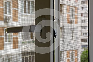 Mosquito Screen on a Window