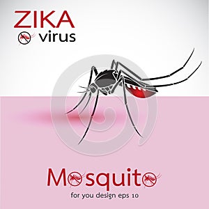Mosquito Sucking Blood On Skin. Spread of zika and dengue virus.