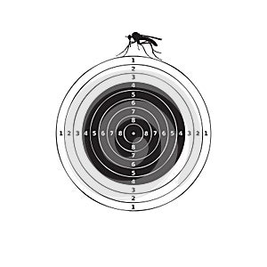 Mosquito target