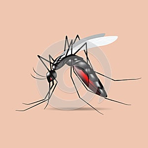 Mosquito vector,sign