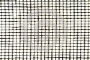 Mosquito wire screen texture on the window