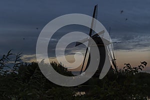 Mosquitoes infected the windmills area at Kinderdjik