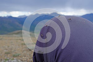 Mosquitoes of Ivvavik National Park