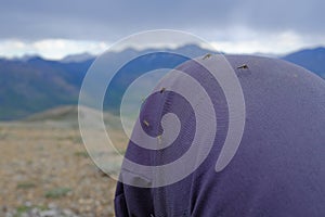 Mosquitoes of Ivvavik National Park photo