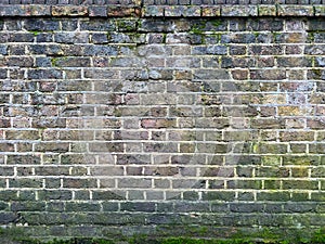 Moss-Adorned Brick Texture Background