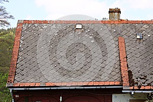 Moss and algae on slate roof tiles