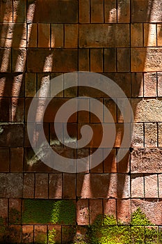 Moss on brick wall in sunlight. Mossy bricks backgrounds
