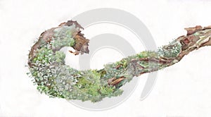 Moss and cladonia lichen on pine branch hand painted watercolor