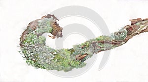 Moss and cladonia lichen on pine branch hand painted watercolor photo