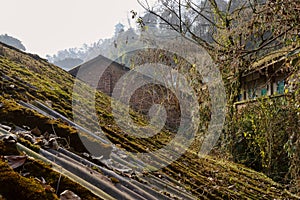 Moss-covered asbestos-shingle roof of ancient house on hillside